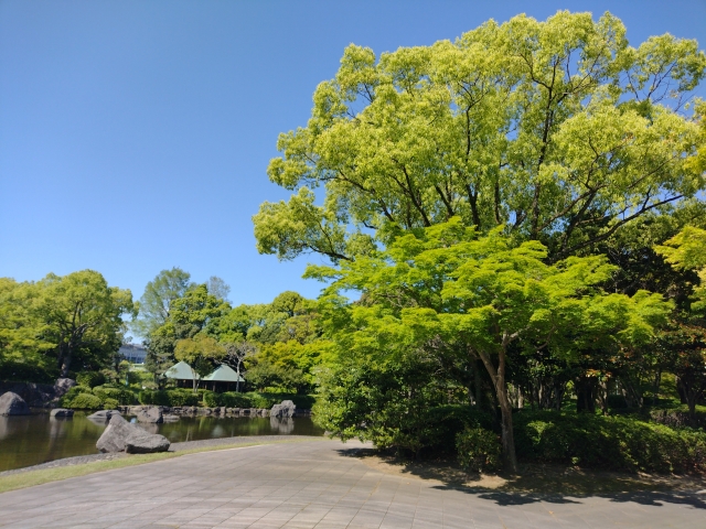春日市で交通事故に遭われた被害者の皆様へ
