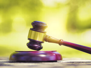 最高裁判所の判断：補助参加の利益を肯定